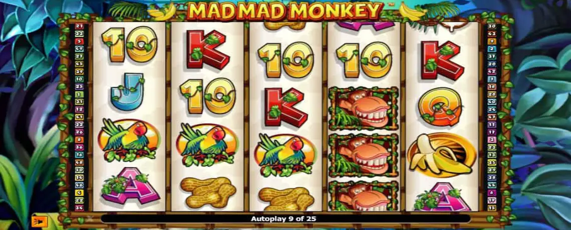 mad-mad-monkey2