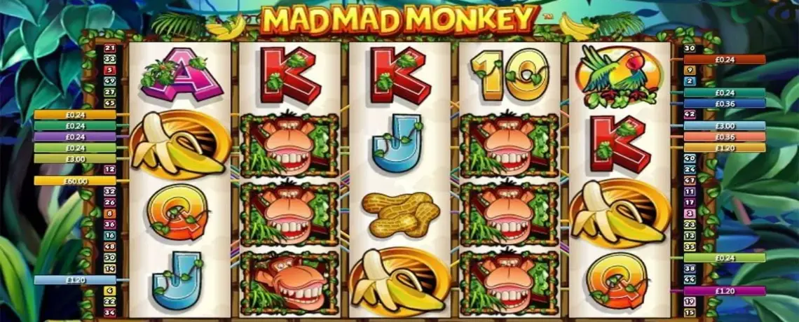 mad-mad-monkey3