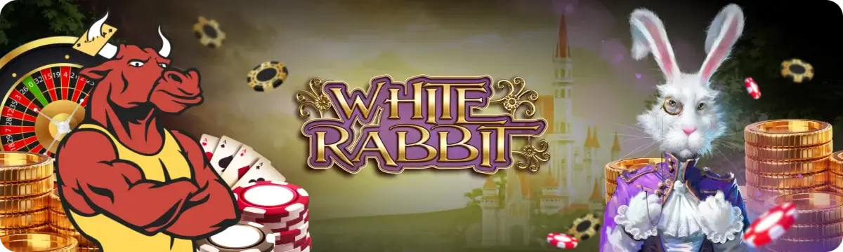 banner_white_rabbit